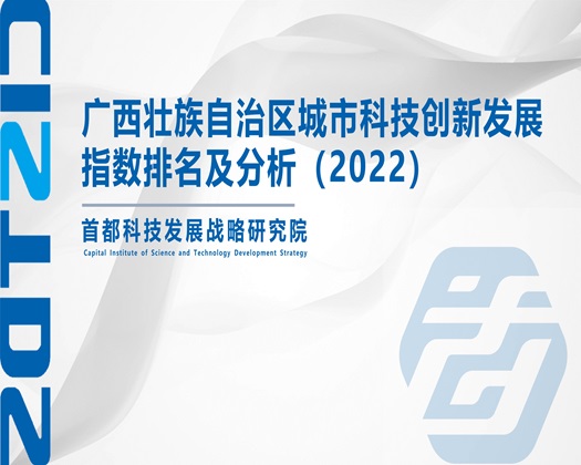 逼痒想鸡巴操视频【成果发布】广西壮族自治区城市科技创新发展指数排名及分析（2022）